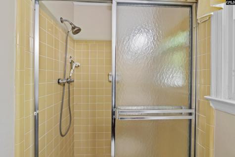 309 Remington Drive Columbia SC 29223