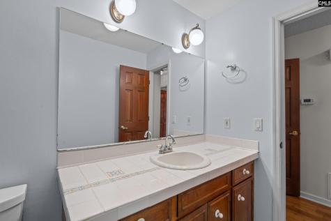 309 Remington Drive Columbia SC 29223