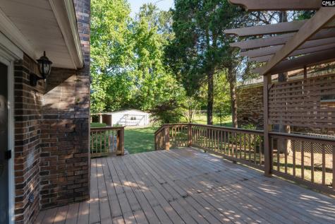 309 Remington Drive Columbia SC 29223