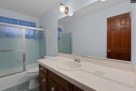 309 Remington Drive Columbia SC 29223