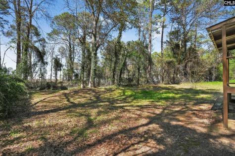 5 Larkin Court Columbia SC 29203