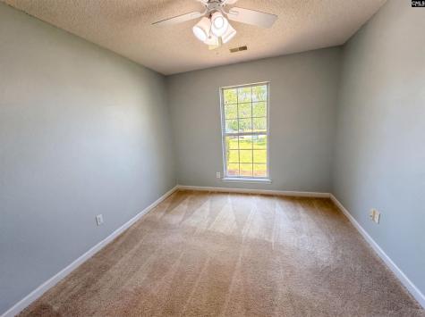3 Summer Branch Court Irmo SC 29063