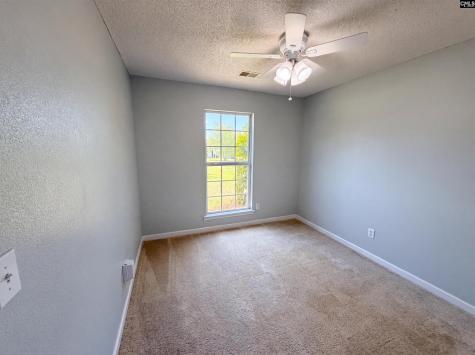 3 Summer Branch Court Irmo SC 29063