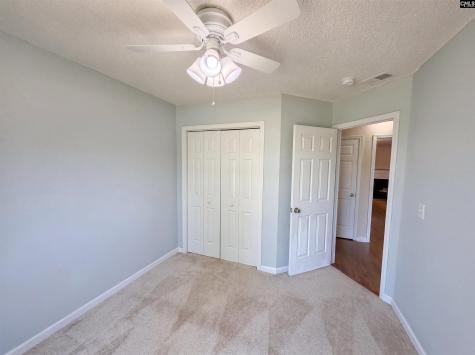 3 Summer Branch Court Irmo SC 29063