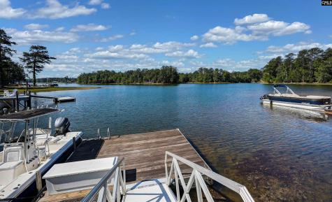 135 Willowood Cove Chapin SC 29036