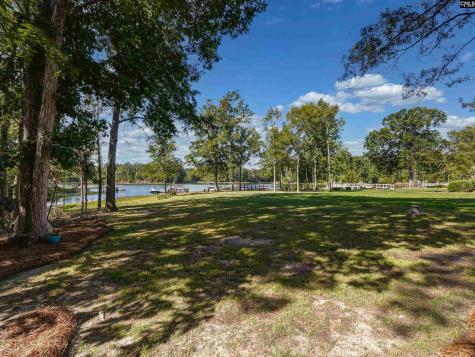 135 Willowood Cove Chapin SC 29036
