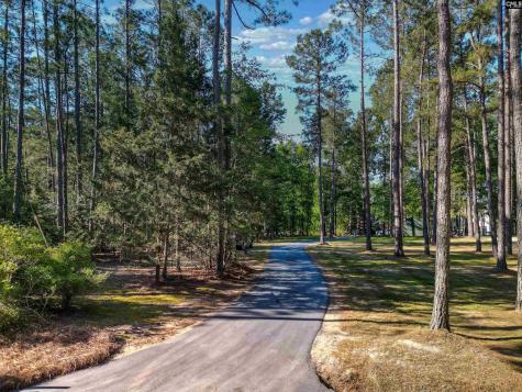 135 Willowood Cove Chapin SC 29036