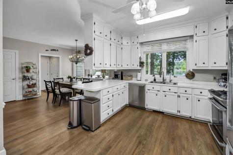 135 Willowood Cove Chapin SC 29036
