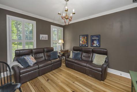 135 Willowood Cove Chapin SC 29036
