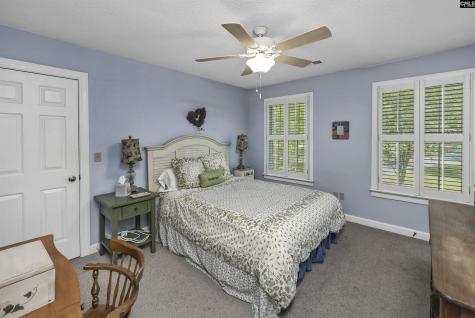 135 Willowood Cove Chapin SC 29036