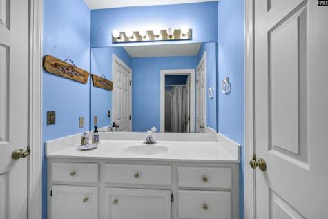 135 Willowood Cove Chapin SC 29036