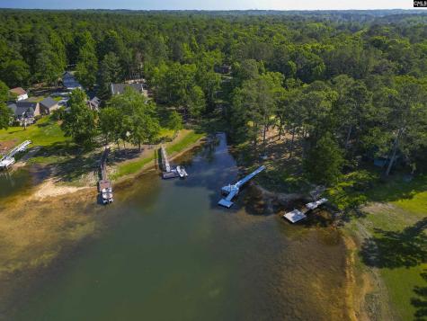 135 Willowood Cove Chapin SC 29036