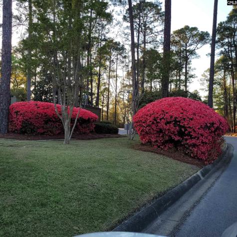 81 Ridge Lake Drive Columbia SC 29209-4213
