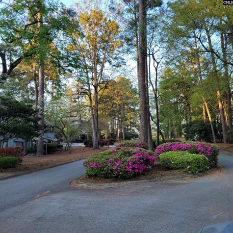 81 Ridge Lake Drive Columbia SC 29209-4213
