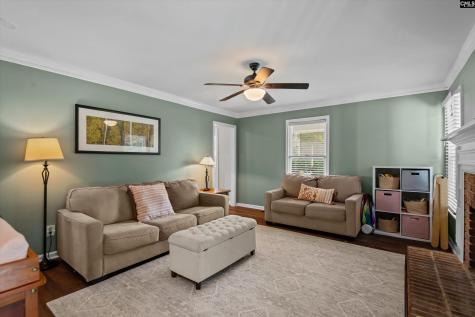 217 Rosebank Drive Columbia SC 29209