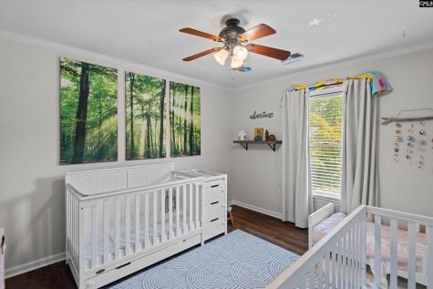 217 Rosebank Drive Columbia SC 29209