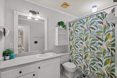 217 Rosebank Drive Columbia SC 29209