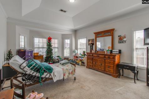 191 Rossmore Drive Cayce SC 29033