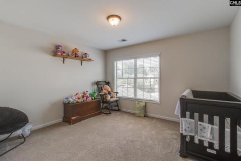 191 Rossmore Drive Cayce SC 29033