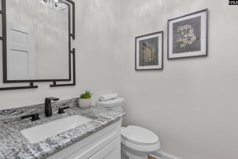104 Birkdale Court Lexington SC 29072