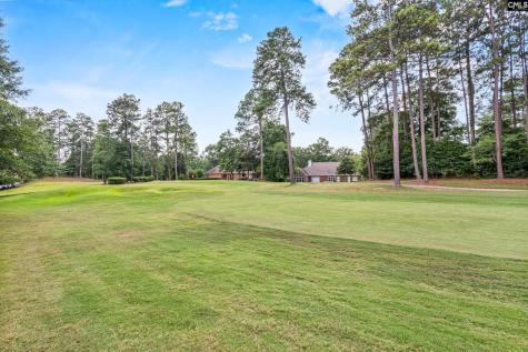 104 Birkdale Court Lexington SC 29072