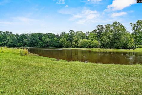104 Birkdale Court Lexington SC 29072