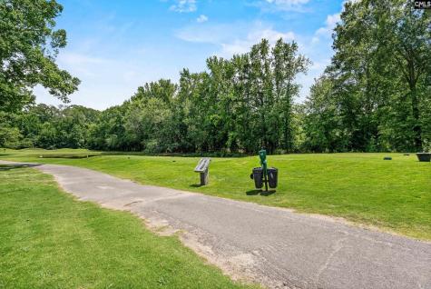 104 Birkdale Court Lexington SC 29072
