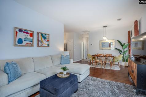 40 Crescent Moon Court Lexington SC 29072