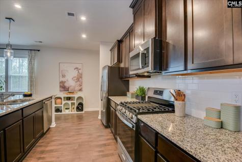 509 Chrome Horse Lane Lexington SC 29073
