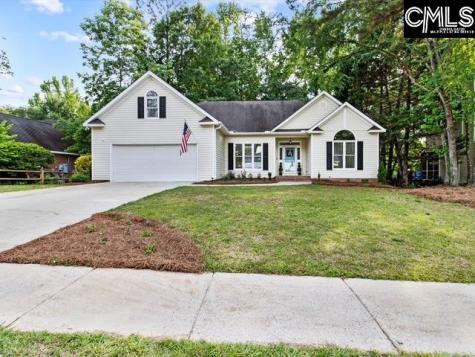 213 Bryars Court Lexington SC 29072