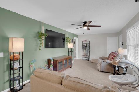 625 Carty Drive Columbia SC 29203