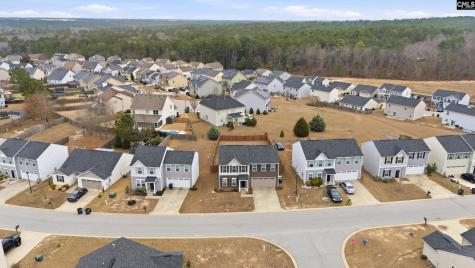 741 Sequoia Drive Lexington SC 29073