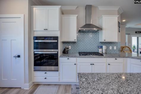 41 Elk Run Court Chapin SC 29036