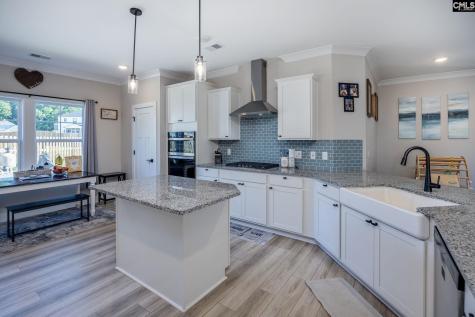 41 Elk Run Court Chapin SC 29036