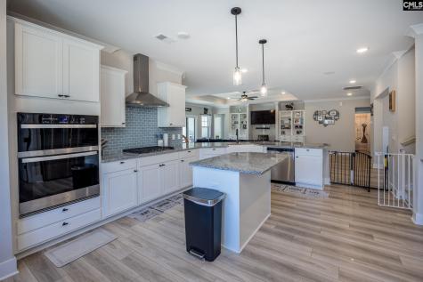 41 Elk Run Court Chapin SC 29036