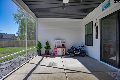 41 Elk Run Court Chapin SC 29036