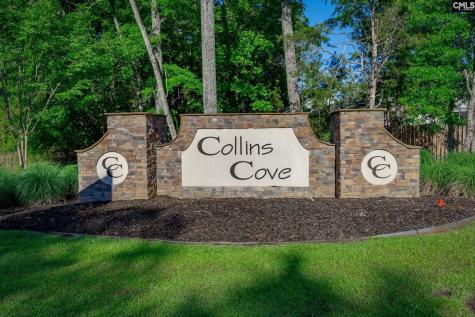 41 Elk Run Court Chapin SC 29036