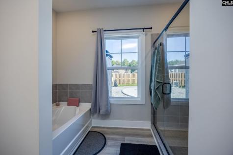 41 Elk Run Court Chapin SC 29036