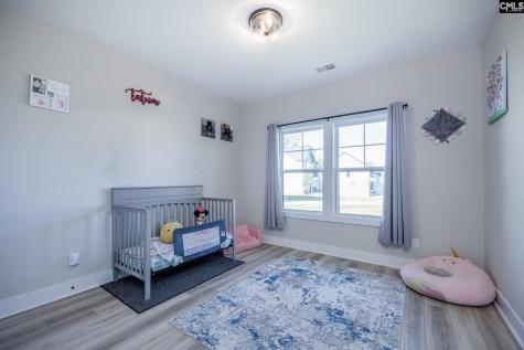 41 Elk Run Court Chapin SC 29036