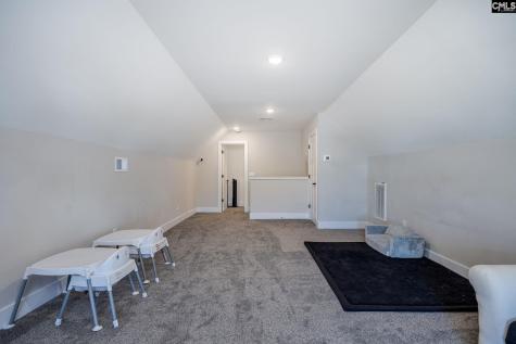 41 Elk Run Court Chapin SC 29036