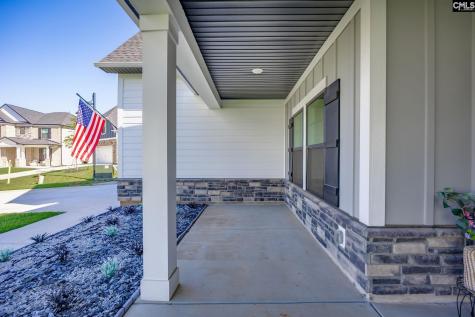 41 Elk Run Court Chapin SC 29036
