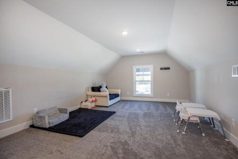 41 Elk Run Court Chapin SC 29036