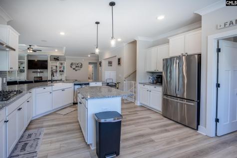 41 Elk Run Court Chapin SC 29036