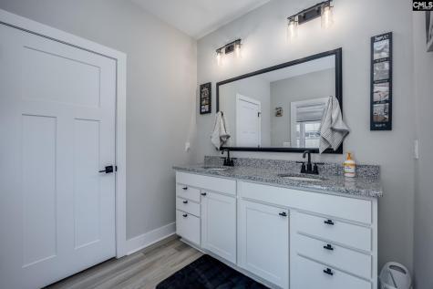 41 Elk Run Court Chapin SC 29036