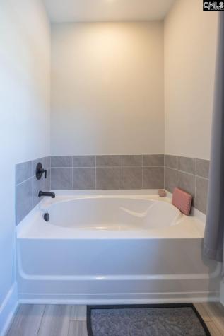 41 Elk Run Court Chapin SC 29036