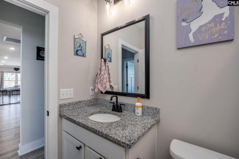 41 Elk Run Court Chapin SC 29036