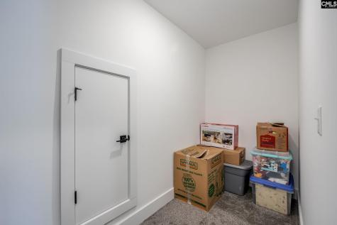 41 Elk Run Court Chapin SC 29036