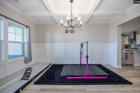 41 Elk Run Court Chapin SC 29036