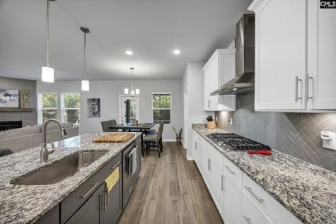 183 Schneider Lane Lexington SC 29072