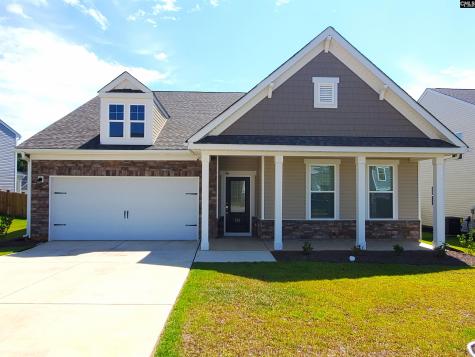 351 Chapin Place Way Chapin SC 29036-9880